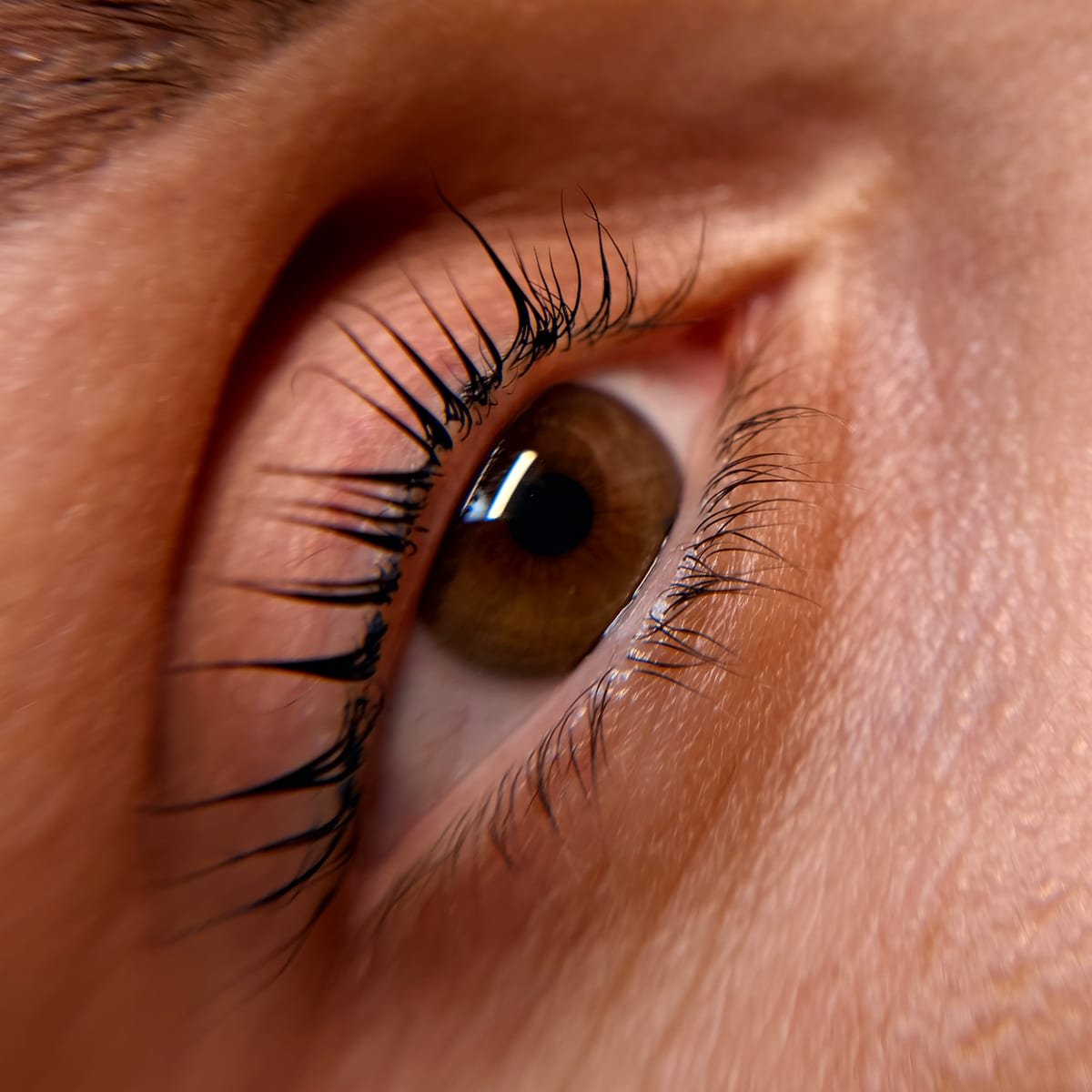 Lash Lift at Sol Lux Beauty Beverly Hills