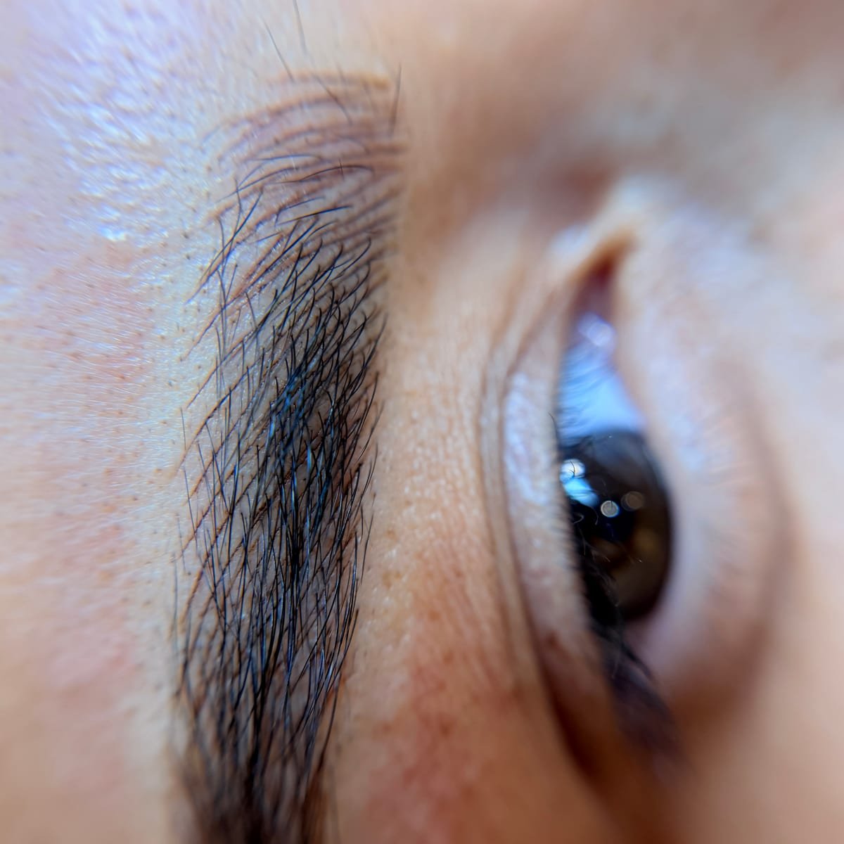 Nanoblading at Sol Lux Beauty Beverly Hills